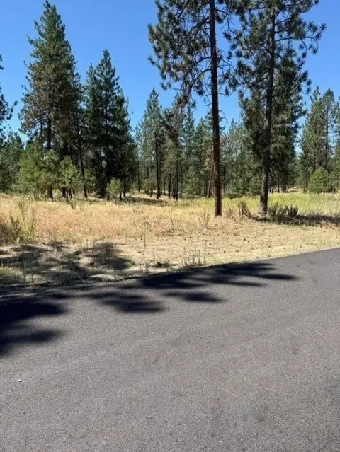 lot11 Long Lake Estates Est, Nine Mile Falls, WA 99026