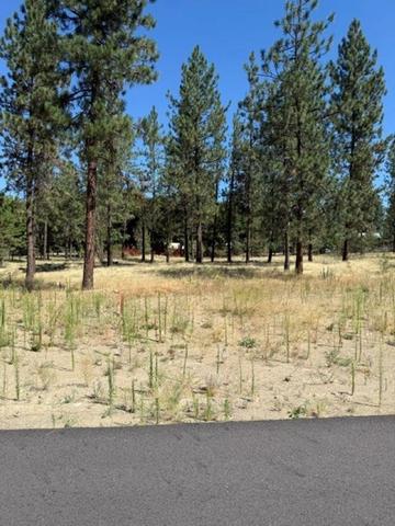 lot14 Long Lake Estates Est, Nine Mile Falls, WA 99026