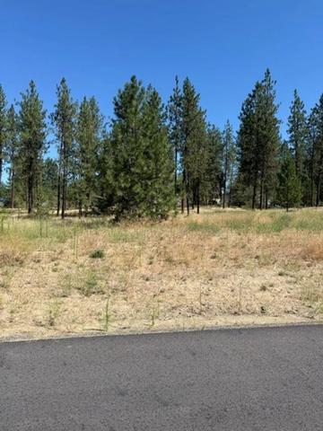 lot15 Long Lake Estates Est, Nine Mile Falls, WA 99026
