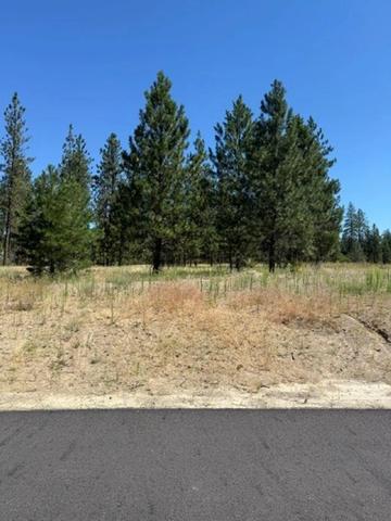lot16 Long Lake Estates Est, Nine Mile Falls, WA 99026