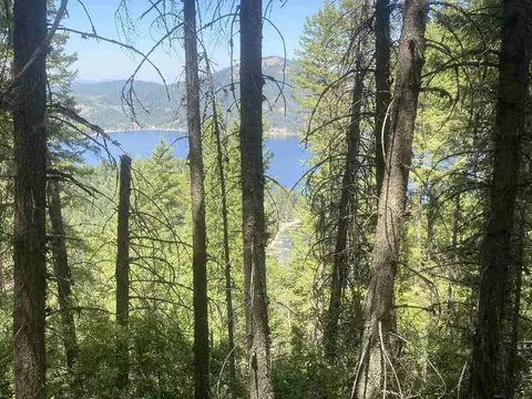 Nna E Deer Lake Rd, Loon Lake, WA 99148
