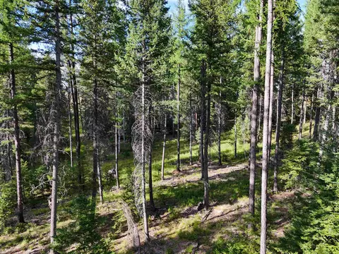 52 Nn Wagner Rd, Springdale, WA 99173 photo 7