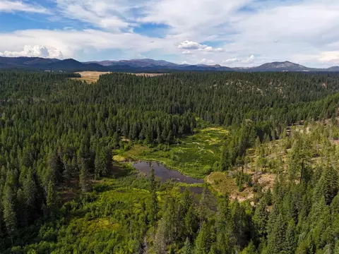 52 Nn Wagner Rd, Springdale, WA 99173 photo 5