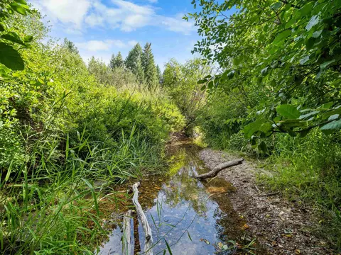 52 Nn Wagner Rd, Springdale, WA 99173 photo 3