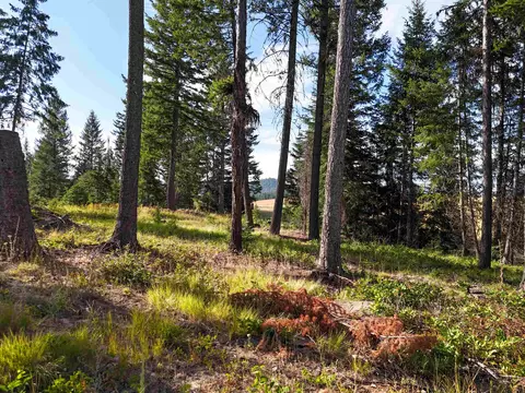 52 Nn Wagner Rd, Springdale, WA 99173 photo 6