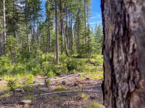 52 Nn Wagner Rd, Springdale, WA 99173 photo 34