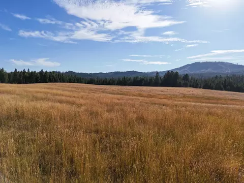 52 Nn Wagner Rd, Springdale, WA 99173 photo 24