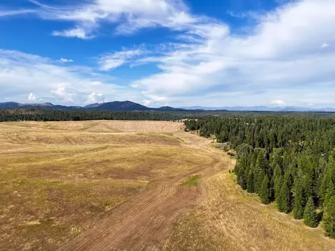 52 Nn Wagner Rd, Springdale, WA 99173 photo 18