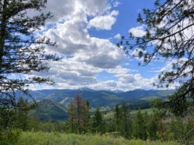 4 Nn R Vista View Ln, Kettle Falls, WA 99138
