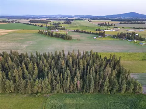 NKA Furze Rd #3, Clayton, WA 99110