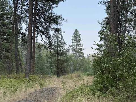 5 W 11 Ac W Malloy Prairie Rd, Cheney, WA 99004