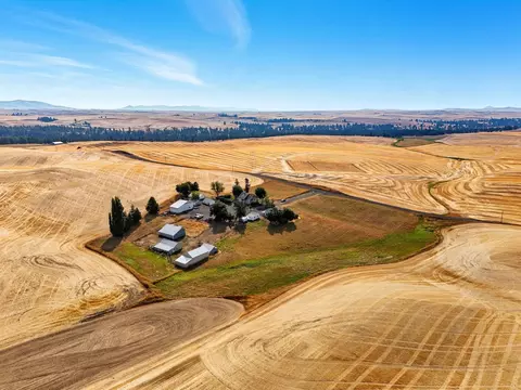View/Area - 3703 Plaza Rd, Rosalia, WA 99170 photo 6 of 8