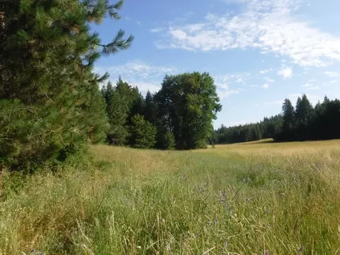 lot1 SW Moose Ridge Way, Loon Lake, WA 99148
