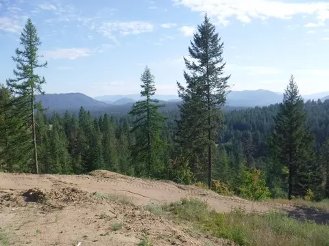 lot2 Moose Ridge Way, Loon Lake, WA 99148