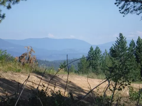 lot3 Moose Ridge Way, Loon Lake, WA 99148