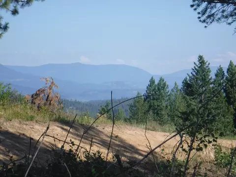 lot4 Moose Ridge Way, Loon Lake, WA 99148