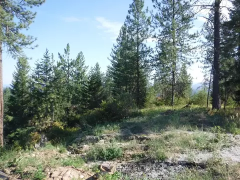 lot5 Moose Ridge Way, Loon Lake, WA 99148