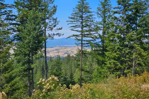 Nka E Belmont Rd, Mica, WA 99023