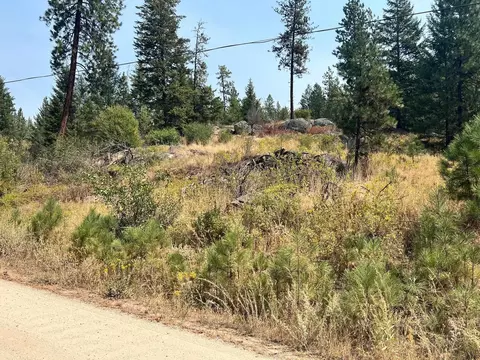 5687 Corkscrew Canyon Rd # X, Tumtum, WA 99034