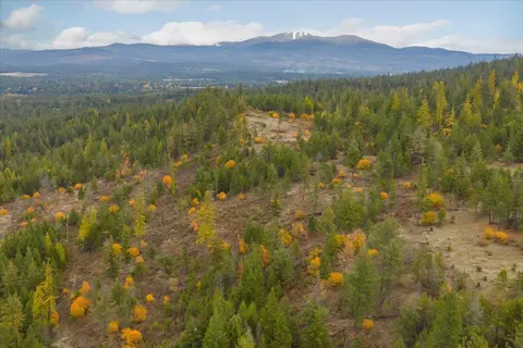 36 N Nnn N Milan-elk Rd, Chattaroy, WA 99003