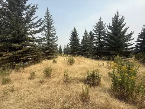 112 S Nn S Spruce Tree Ln, Mica, WA 99023