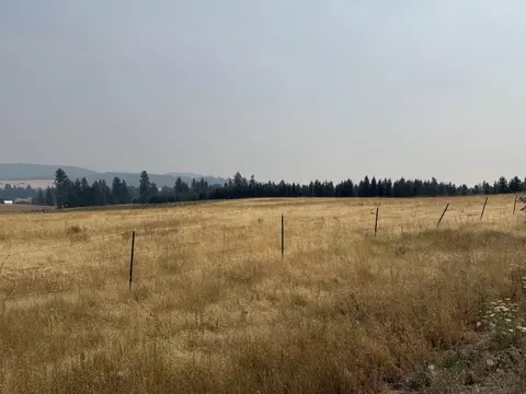 111 S Nn S Spruce Tree Ln, Mica, WA 99023