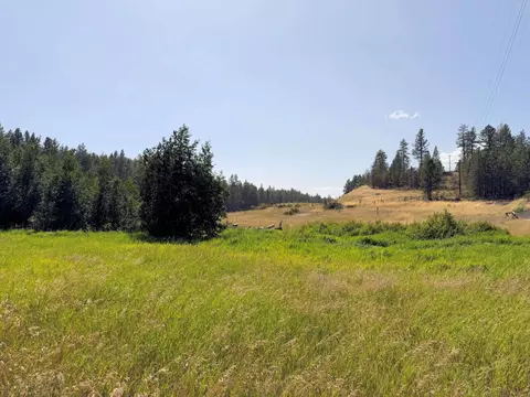 001 E Milescreston Rd, Creston, WA 99117