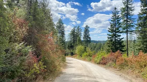 11618 E Dusty Ln, Chattaroy, WA 99003