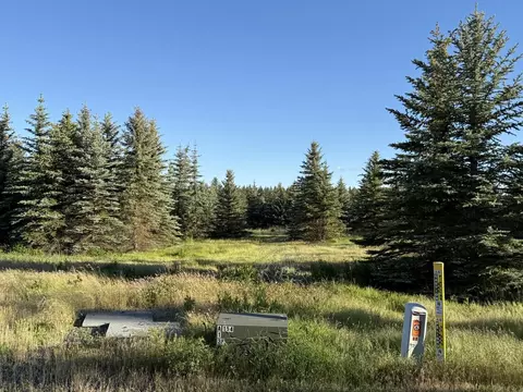 119 S Nn S Spruce Tree Ln, Mica, WA 99023