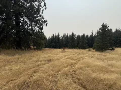 119 S Nn S Spruce Tree Ln, Mica, WA 99023