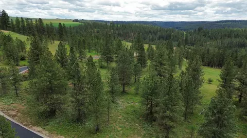 3344 Balsam Hill Ln, Valleyford, WA 99036