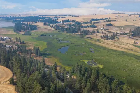 0000 S Murphy Rd, Cheney, WA 99004 photo 11