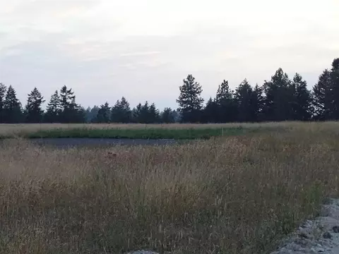 Orchard Rd, Chattaroy, WA 99003