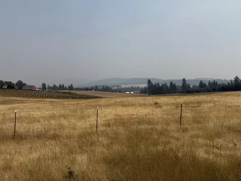 13 E Nnn E Gibbs Rd, Mica, WA 99023