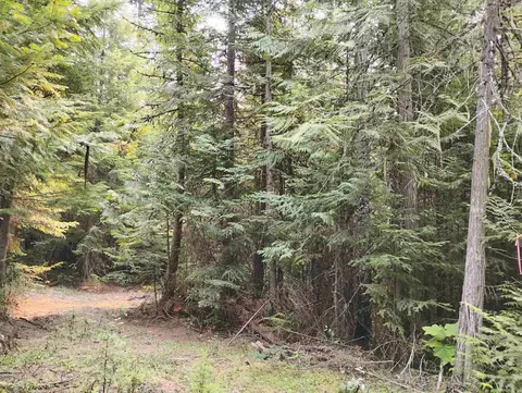589 Scheller Ln, Usk, WA 99180