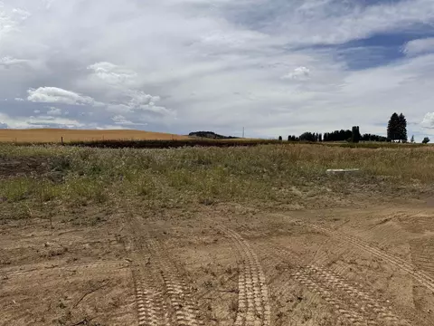 520 Davisadero St, Reardan, WA 99029