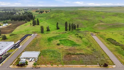 1615 Spring St, Cheney, WA 99004 photo 5
