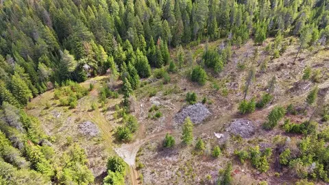 8300 E Lodge Pole Ln, Chattaroy, WA 99003