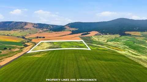 39 5 Acre Lot Wheeler Rd, Latah, WA 99018