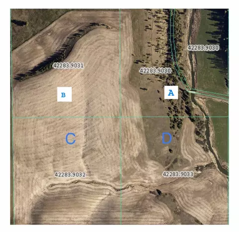 11900 Hays Rd #LOT A - PARCEL 9030, Spangle, WA 99031 photo 26