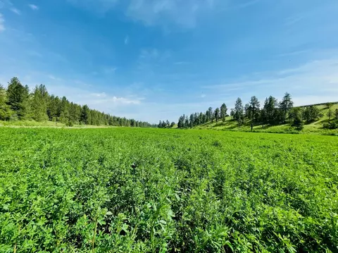 11900 Hays Rd #LOT A - PARCEL 9030, Spangle, WA 99031 photo 9