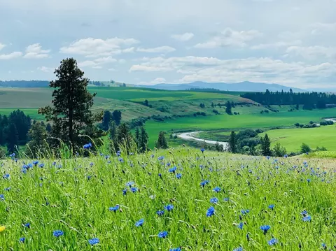 11900 Hays Rd #LOT A - PARCEL 9030, Spangle, WA 99031