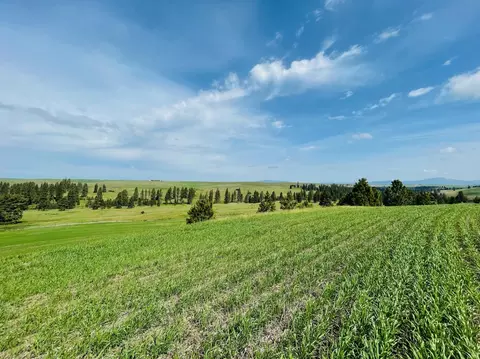 11900 Hays Rd #LOT A - PARCEL 9030, Spangle, WA 99031 photo 19