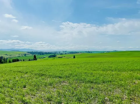 11900 Hays Rd #LOT A - PARCEL 9030, Spangle, WA 99031 photo 14
