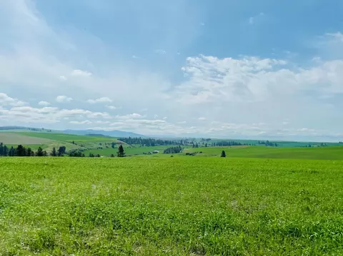 11900 Hays Rd #LOT A - PARCEL 9030, Spangle, WA 99031 photo 18