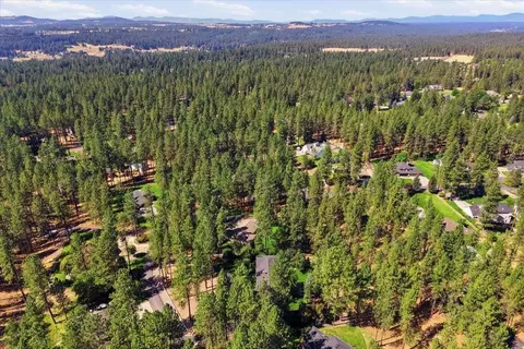 View/Area - 17224 N Brookside Ln, Colbert, WA 99005 photo 5 of 6