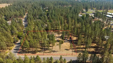 View/Area - 4410 E Silver Pine Rd, Colbert, WA 99005 photo 3 of 5