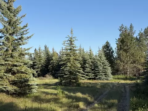 111 S Nn S Spruce Tree Ln, Mica, WA 99023