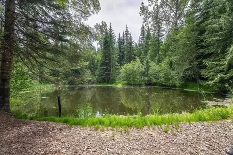 Other - 20611 E Wallis Rd, Mead, WA 99021 photo 9 of 13