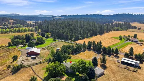 View/Area - 9119 E Woolard Rd, Colbert, WA 99005 photo 3 of 4